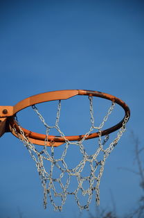 乐鱼体育app官网-NBA球员体能训练计划设计与效果评估，nba球员的体能训练
