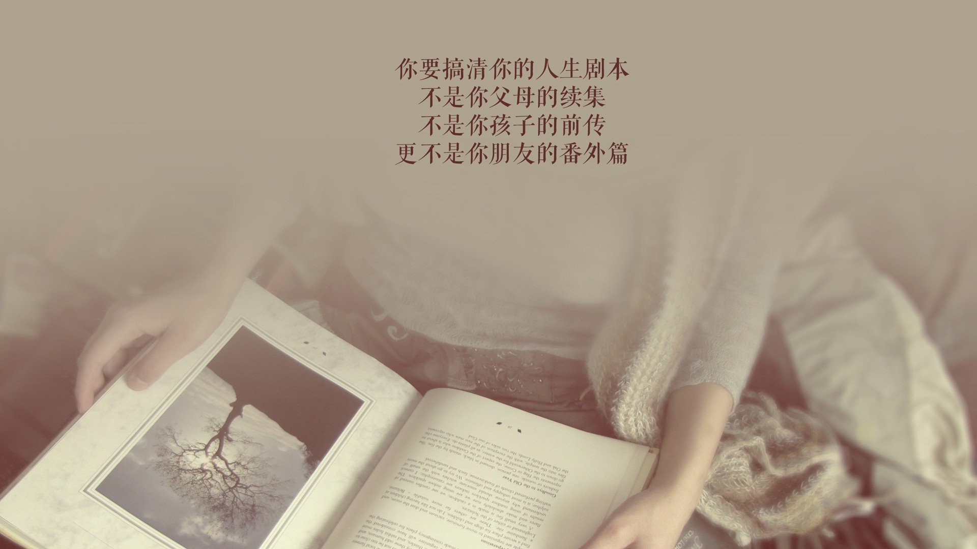 乐鱼体育官网登录-体育赛事现场管理优化，体育赛事管理要素