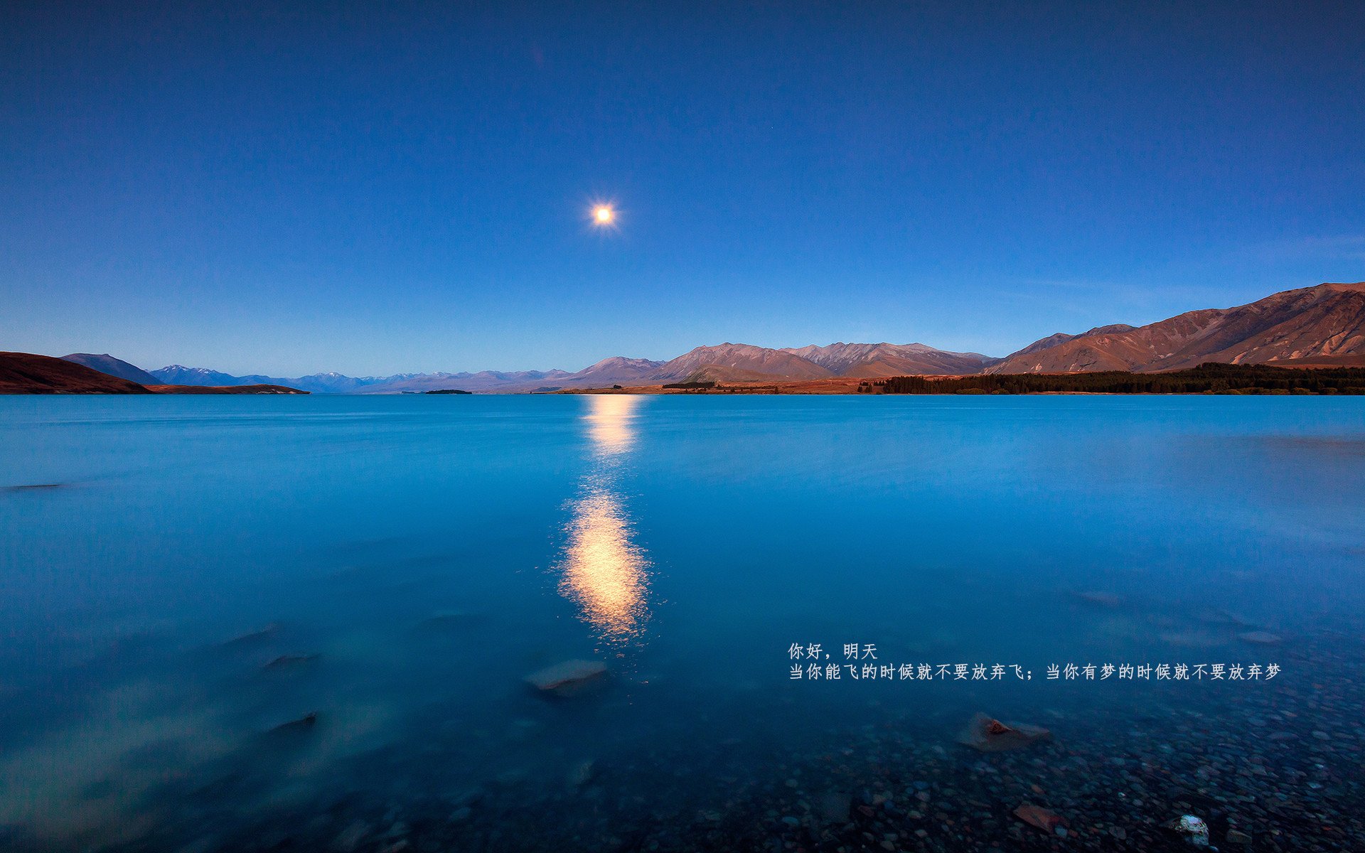 200米蝶泳冠军配速策略解析，200米蝶泳比赛视频回放