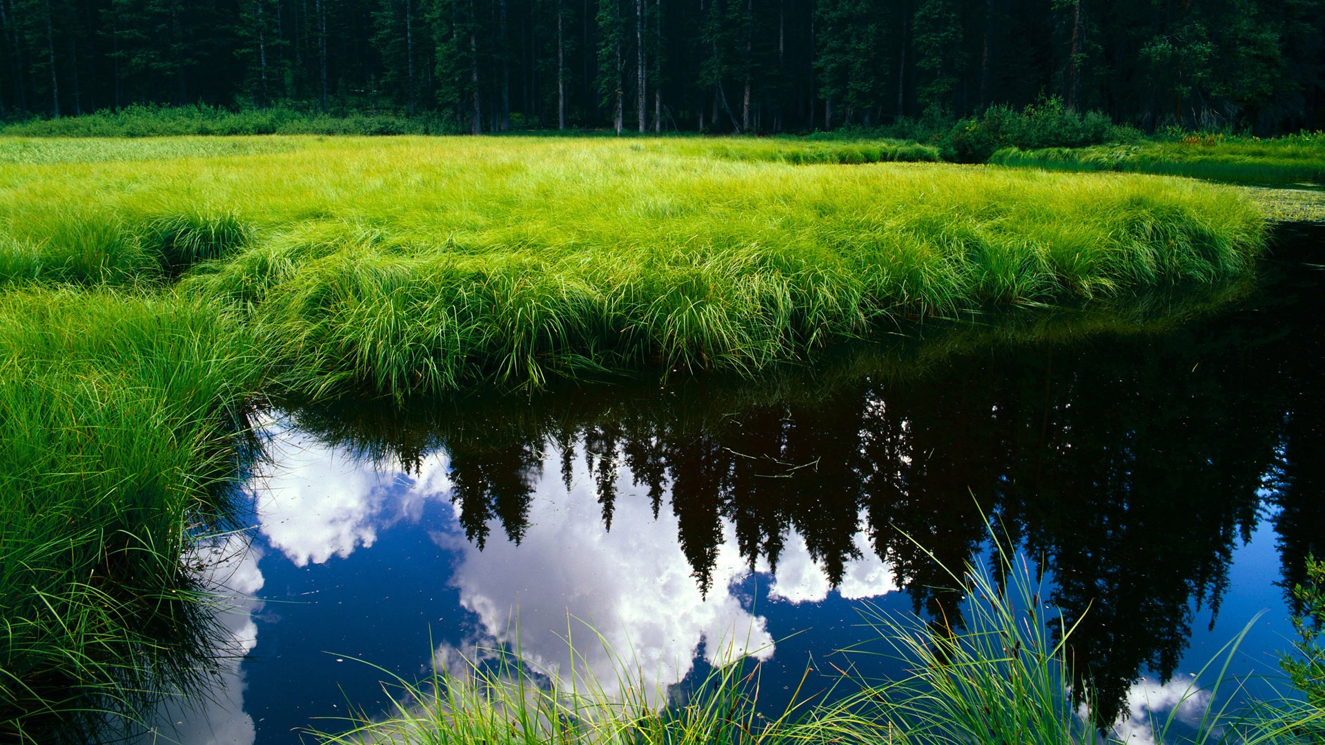 俱乐部管理稳定性与成绩关联，俱乐部管理稳定性与成绩关联性的关系