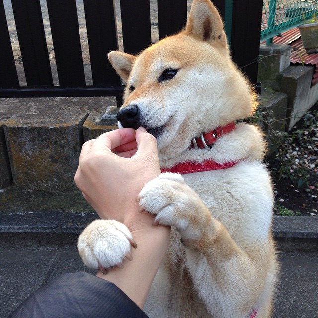 尤文通过欧洲排名晋级世俱杯，接替那不勒斯席位，尤文排行