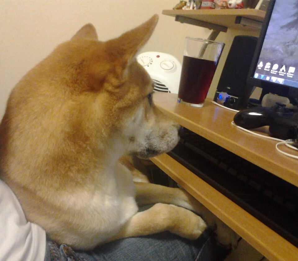 激情 中国女足晋级 亚洲杯写下新篇章，中国女足惊动亚足联