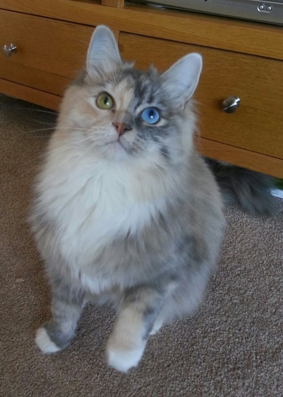 中国足球体育媒体报道聚焦战绩与背后机制，分析中国足球