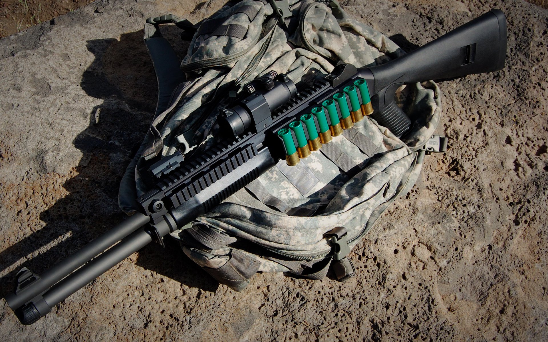 乐鱼体育app在线登录-凯尔特人组织球员家庭日活动增强归属感，凯尔特人 球员