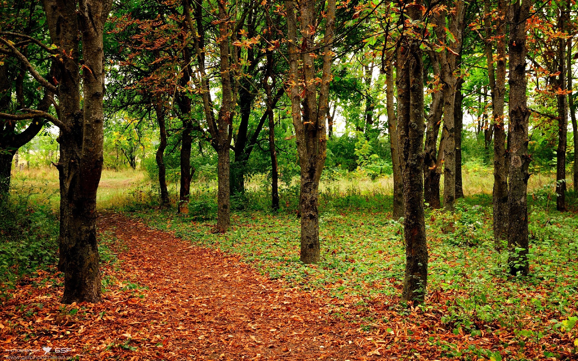 德甲激情对决:节奏快、情绪高,场面火爆,德甲集锦2020_2021