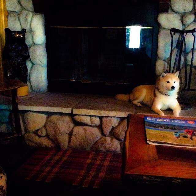 意甲联赛中的新兴战术理念，意甲新规则