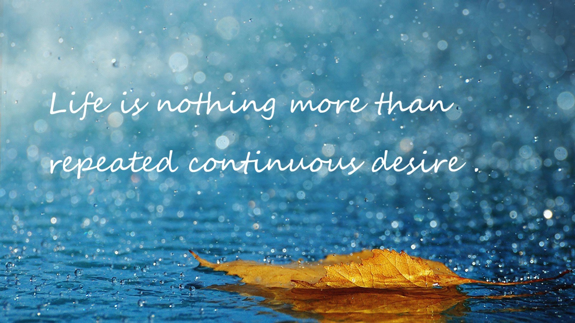 乐鱼体育官网投注-欧洲杯精彩纷呈：战术创新引领新潮！，欧洲杯战记