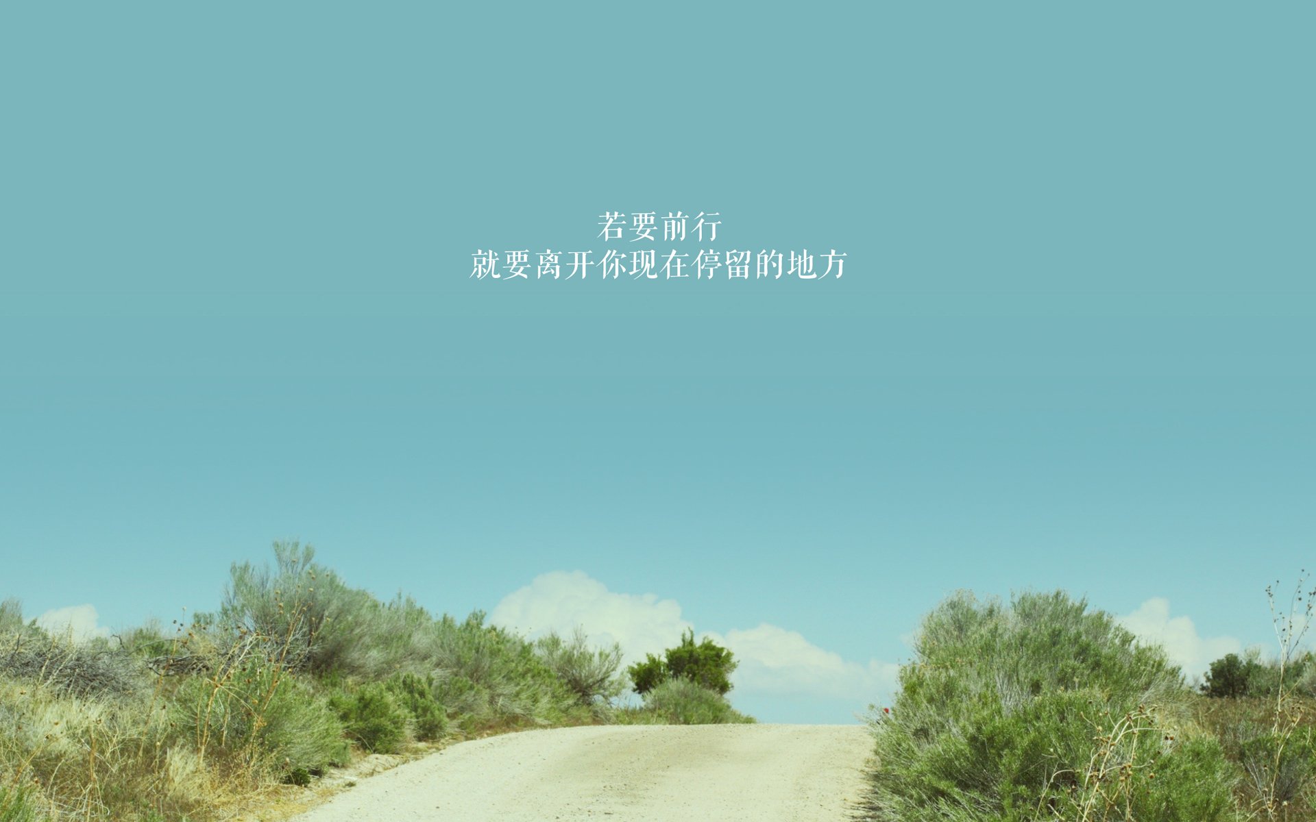 法国橄榄球赛事的全球推广引发观众热潮，法国橄榄球年历