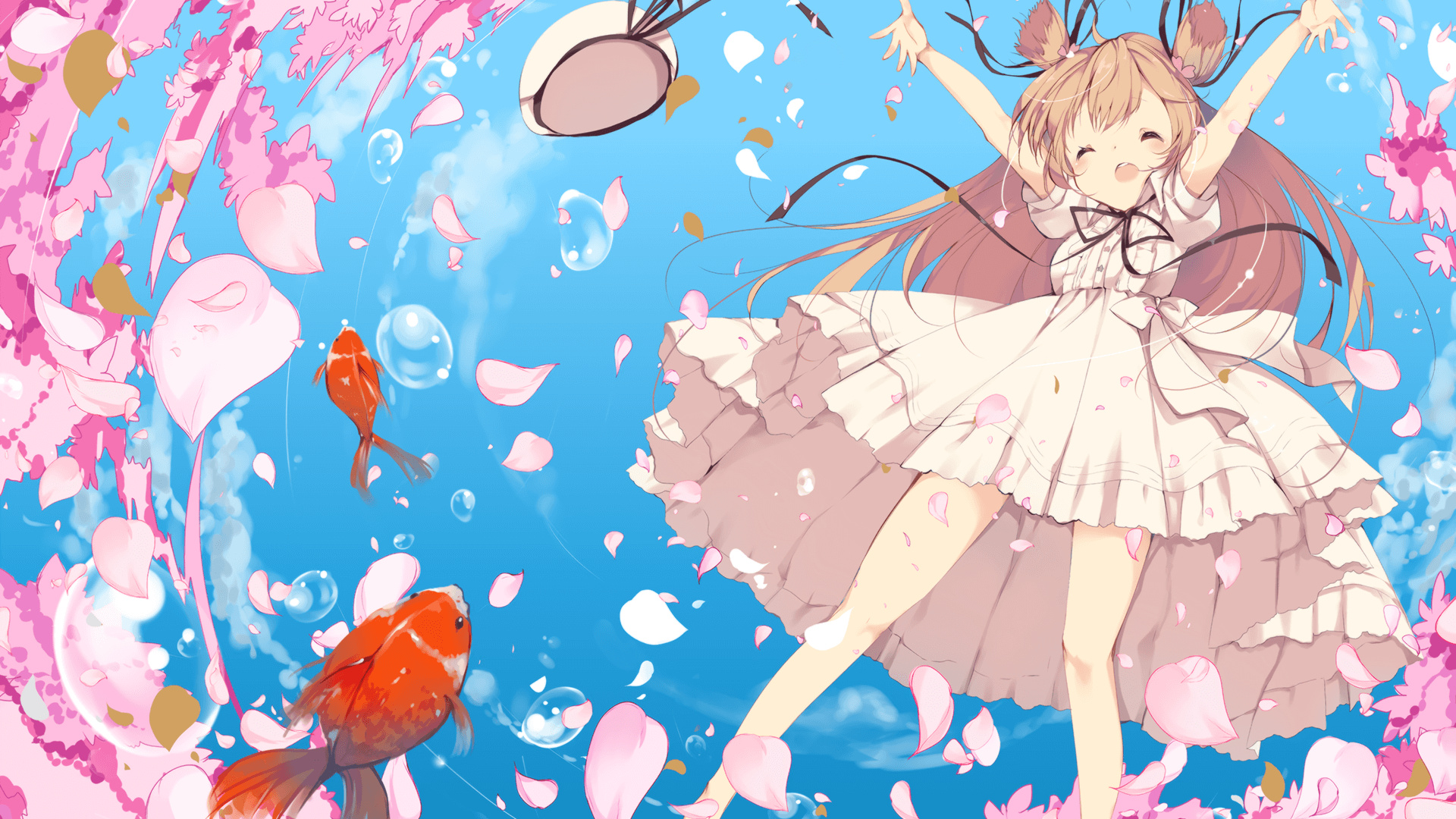 澳大利亚橄榄球的青训体系建设,培养新一代橄榄球才俊,澳大利亚nrl橄榄球联赛